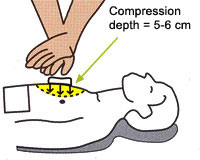 Compressions cm